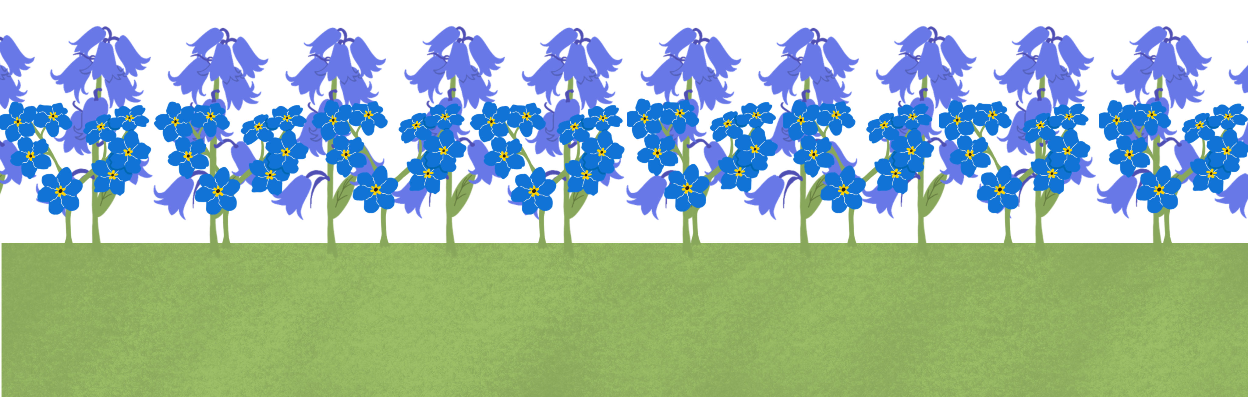 website footer: illustration of a row of blue forget-me-nots and a row of purple bluebells